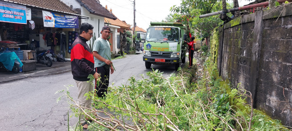 DLHK Badung Pangkas Pohon Perindang di Lingkungan Gadon, Beluran, Babakan, dan Batuculung